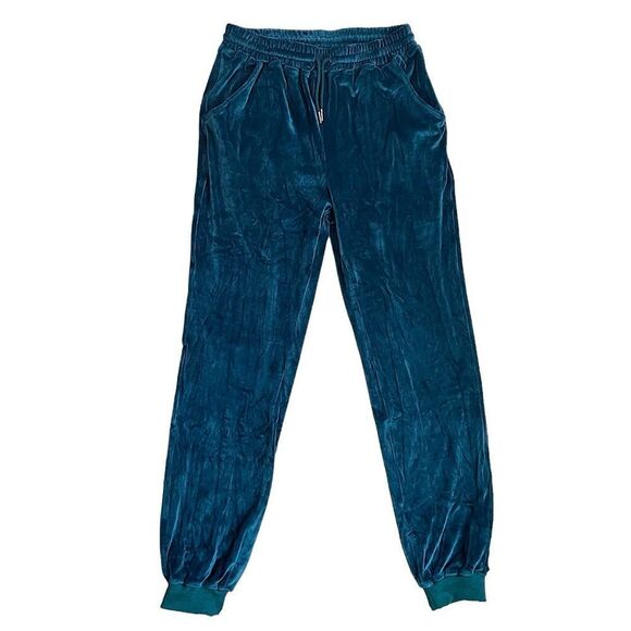 Super Soft Velvet Teal Joggers Size M NWT (Reminiscent of Juicy Jog… - Picture 1 of 3